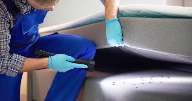 Best Local Pest Control Services  in Lykens, PA
