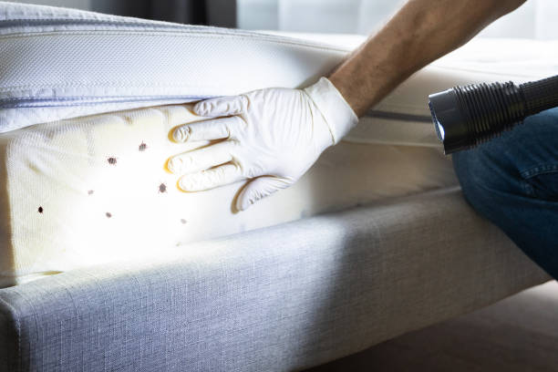 Best Best Pest Control Companies  in Lykens, PA