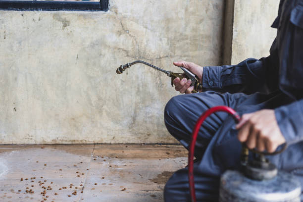 Best Termite Control Services  in Lykens, PA